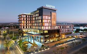 Harper Kupang by ASTON
